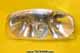 Light - Interior - Mercedes-Benz A 943 820 1201-1