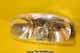 Light - Interior - Mercedes-Benz A 943 820 1101-1