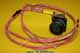 Harness - Roller - KP37905-1