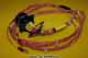 Harness - Roller - KP37905-2