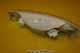 Lamp - Indicattor - 83700530-2