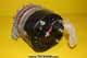Generator - 12V 45a - 601717-A1 PRC6368-2