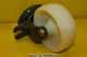 Caster wheel - GM-B-90707-1