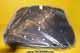 Seat spare - 9876470 9818341-3