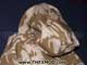 Smock - Combat - Wind Proof - Desert - Size 180 /-3