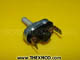 Switch - Push - 2A - SMB479-2