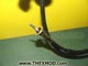 Cable - Speedo - PRC6021-2