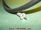 Cable - Speedo - Lower - PRC5663-3